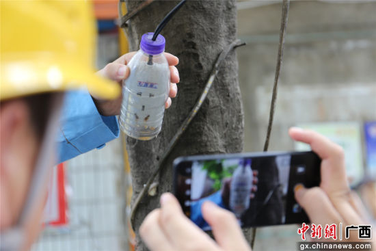 住戶為防止雨天插座漏電而套上的塑料瓶中積水明顯，存在漏電隱患。謝耘 攝